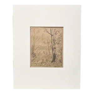 1927 Charcoal on Paper Drawing of a Wooded Landscape With a Birch Tree