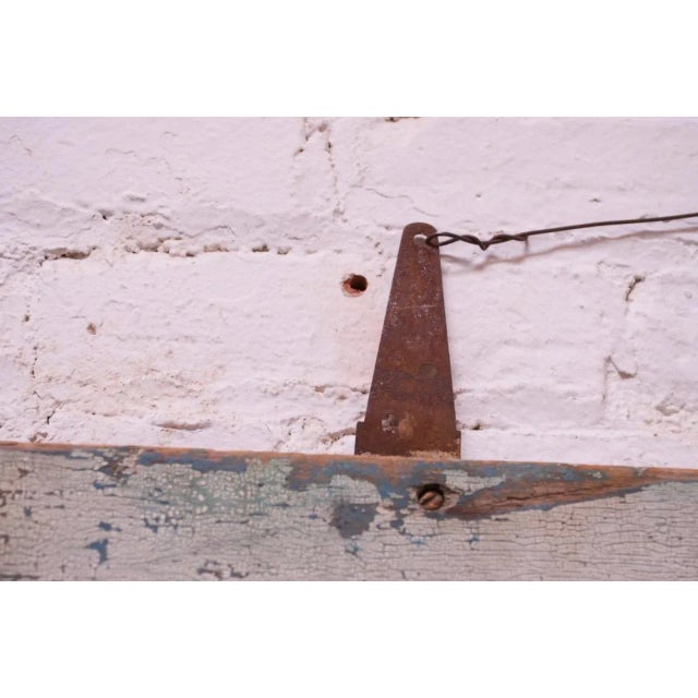 1970s Mounted Diamond Back Rattlesnake Skin For Sale - Image 5 of 13