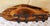 A nicely done piece that would go anywhere you needed to hang coats - inside, outside, mudroom, etc! The raw edge wood...