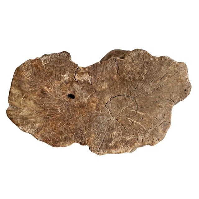 Contemporary Vintage Burn Sand Lychee Stump Side Table For Sale - Image 3 of 5