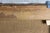 Impressionist Early 20th Century California Impressionist Plein Air Landscape Painting Attributed to Dana Bartlett For Sale - Image 3 of 8