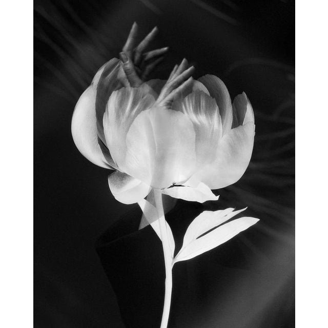 Blooming hands' 2023 A Fusion of Nature and Creation Analogue double exposure photograph made using 4x5 large format...