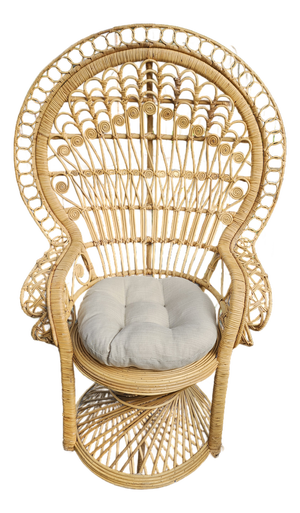 Peacock Chair