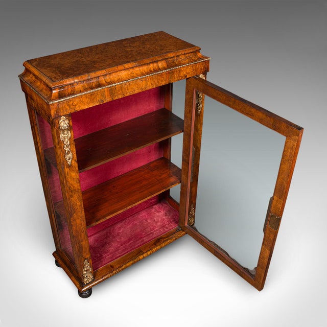 Brown Antique Pier Cabinet, English, Walnut, Glazed Display Bookcase, Victorian, 1860 For Sale - Image 8 of 12