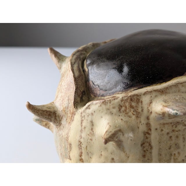Large Organic Glazed Stoneware Chestnut, 20th Century For Sale - Image 6 of 9