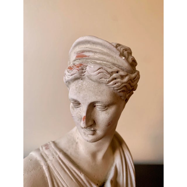 Classical Plaster Busts of Diana and Apollo Belvedere Sculptures, Pair For Sale - Image 11 of 12
