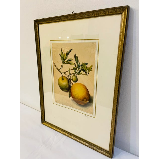 Georg Flegel, Branch with Bitter Oranges, Lithograph, 1940s For Sale - Image 9 of 11