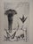Bernard Buffet, Nature morte aux bouquet et aux fruits, Etching For Sale