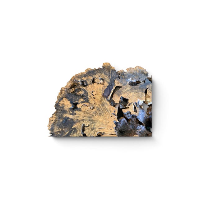 Signed 1970s California Studio Craft Live-Edge Buckeye Burl Root Mushroom Coffee Table "Flight Into Freedom" For Sale - Image 4 of 7