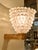 Rostrato Murano Glass and Brass Wall Lamp by Ercole Barovier for Barovier & Toso, Italy, 1940s For Sale - Image 11 of 14