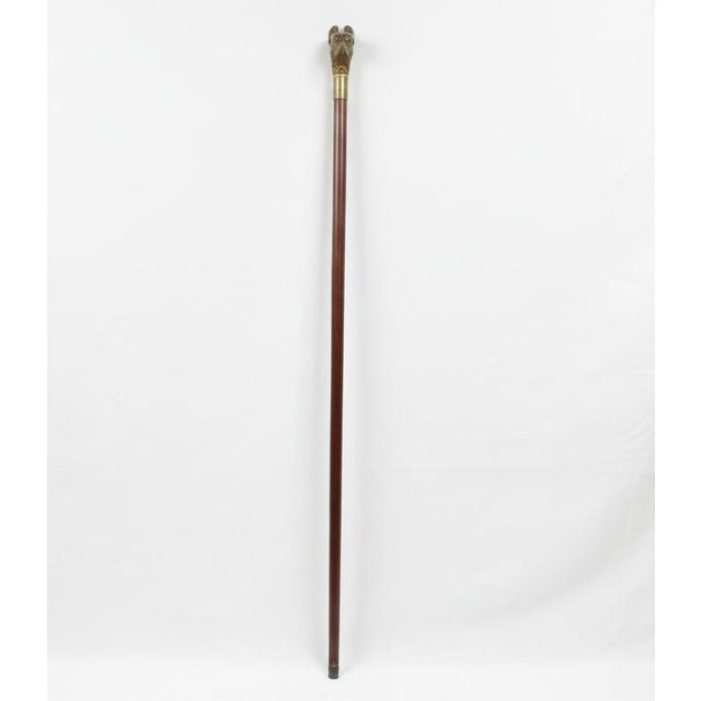Victorian era walking stick with dog head handle. Finely carved wood Bulldog with inset realistic glass eyes and detailed...