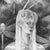 Dragonfly Mother by Timothy Von Rueden and Babs Webb | Graphite on Mixed Media Paper Woman with dragonflies and ethereal elements. For Sale - Image 4 of 4