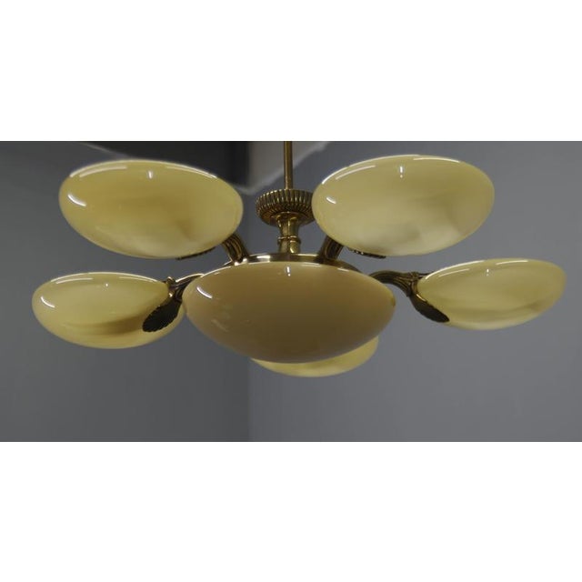 Art Nouveau Six-Light Brass Chandelier by Jencik, Czechoslovakia, 1920s For Sale - Image 11 of 17