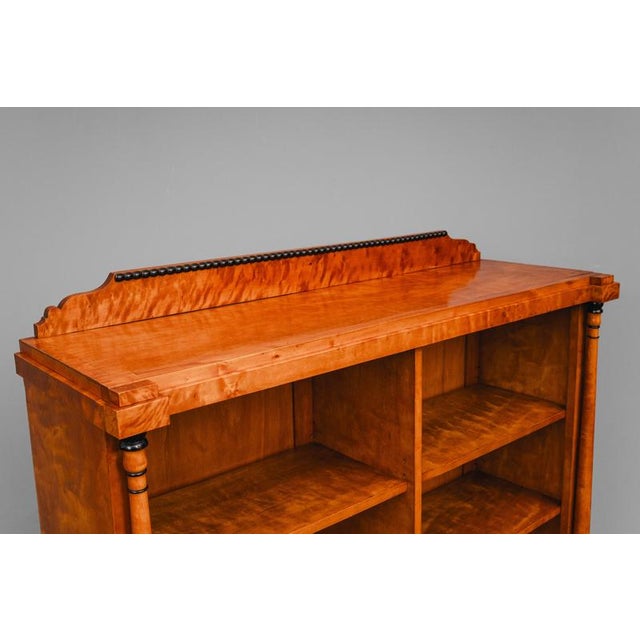 Brown Biedermeier Style Bookcase in Birch For Sale - Image 8 of 18
