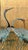 Early 20th Century Japanese Four-Fold Byobu Screen With Cranes and Young Bamboo For Sale - Image 10 of 18