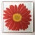 Late 20th Century Retro Handpainted Red Zinnia Flower Glass Coasters, Signed For Sale - Image 5 of 7