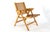 Model Rex Folding Chair by Niko Kralj for Stol Kamnik For Sale - Image 14 of 16