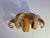 Mid 20th Century Folk Art Ram's Horn Wall Mount For Sale - Image 9 of 13