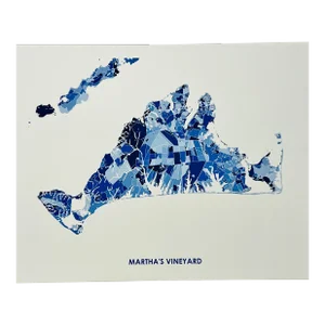 Martha's Vineyard Colorful Satellite Map Art Print