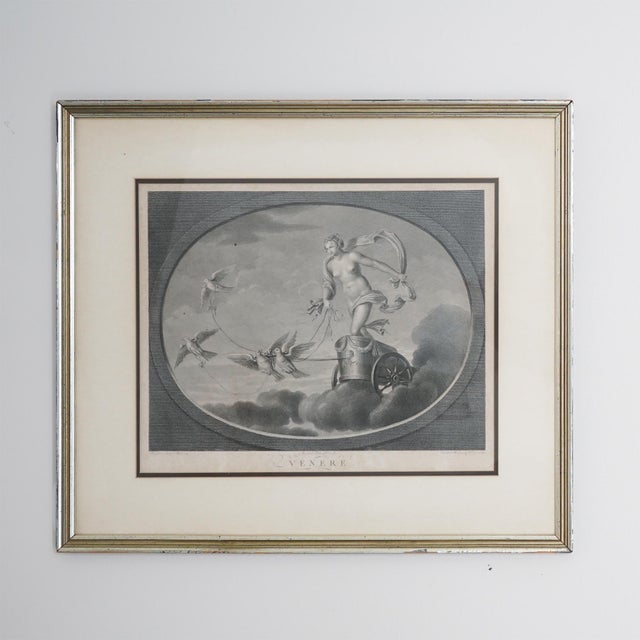 Late 18th–Early 19th Century Neoclassical “Venere” Venus Engraving After Raphael – Tofanelli & Bertigneni For Sale - Image 9 of 14