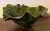 Large Dodie Thayer Sea Grape Leaf Serving or Centerpiece Bowl For Sale In New York - Image 6 of 17