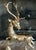 Mid 20th Century Large Deer Solid Brass Christmas Reindeer Holiday Decoration Vintage - a Pair For Sale - Image 5 of 8