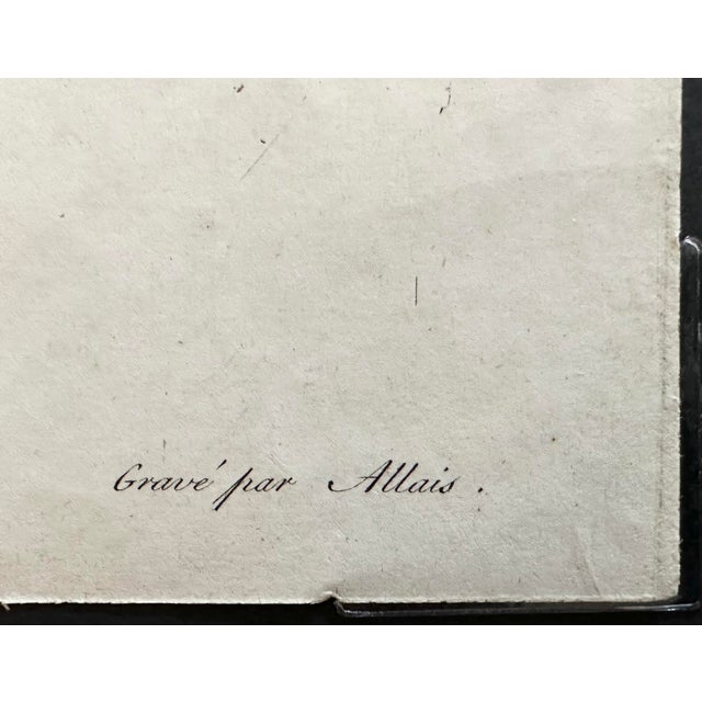 French Botanical Print, 'Mesembryanthemum' of Le Jardin De Malmaison - Pierre Joseph Redouté For Sale - Image 6 of 8