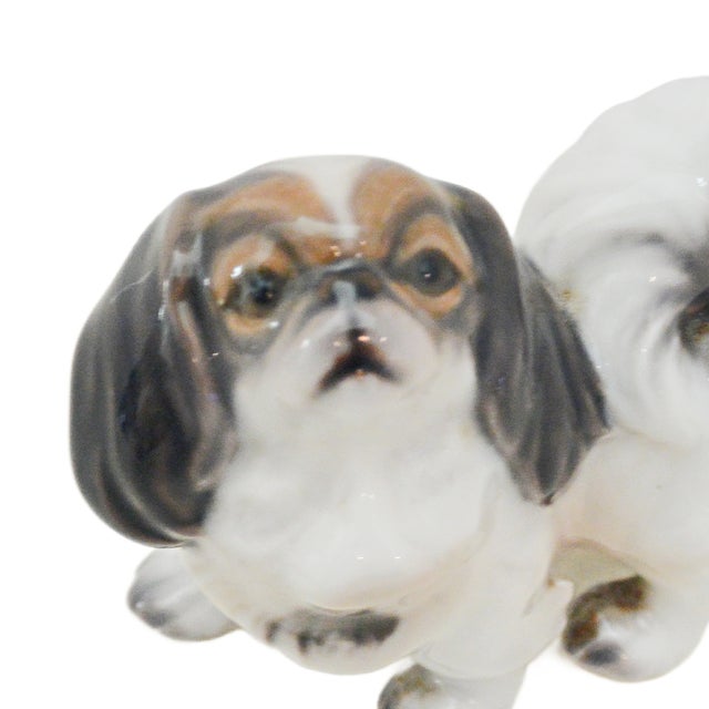 Elevate your collection with this exquisite porcelain Pekingese figurine from the renowned Danish studio of Dahl Jensen....