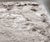 Contemporary Limited Edition Shag Carpet, 11' 11" X 11' 11" For Sale - Image 3 of 9