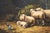 Sheep, 1920s, Oil on Board, Framed For Sale - Image 6 of 16