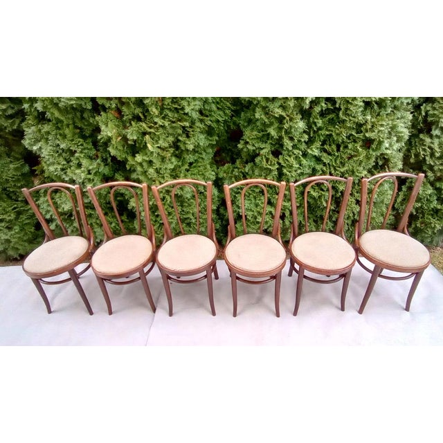 Chairs in Beech Bentwood from Tatra, 1960s, Set of 6 For Sale - Image 4 of 15