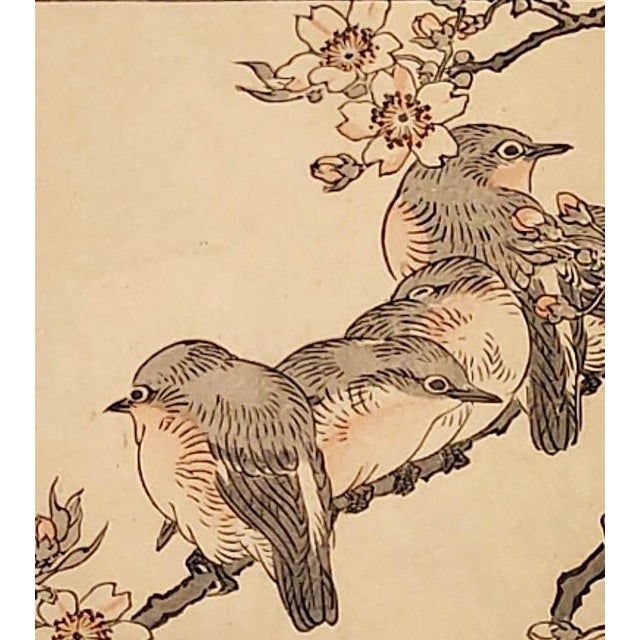 Woodblock print by Kono Bairei from the series "Flowers and Birds" Kono Bairei was a renowned, high-ranking artist in the...