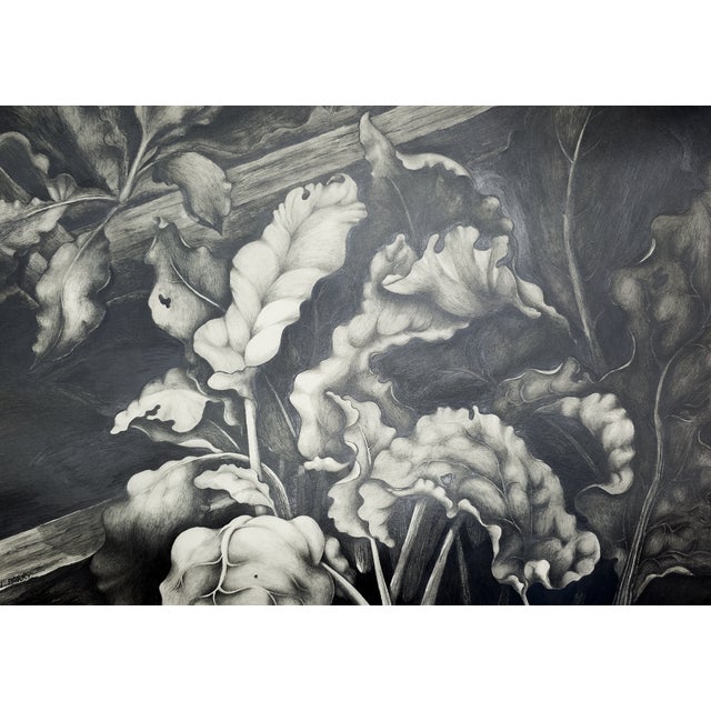 Why This Work Matters After the Bloom finds beauty where most floral images stop looking—after perfection has passed and...