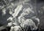 Why This Work Matters After the Bloom finds beauty where most floral images stop looking—after perfection has passed and...