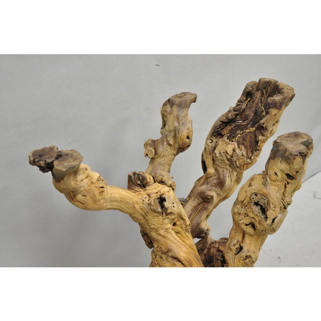 Vintage Mid Century Modern Natural Burl Driftwood Demilune Glass Console Table For Sale - Image 10 of 18