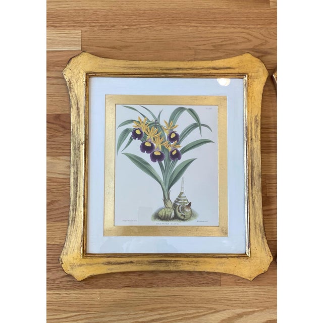 Beautiful set of orchid water color prints. Each framed in an elegant wooden gold leaf Vintage frame. Lovely pair to flank...