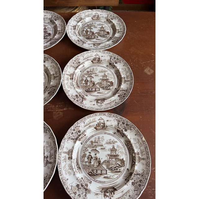 A Rare Set of 16 Brown Transfer Decorated Staffordshire Plates, “Nankin” by Dimmock, Circa 1830’s For Sale - Image 10 of 17