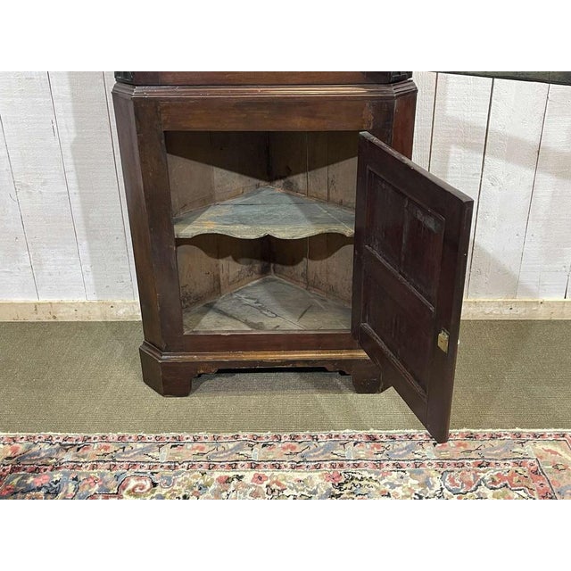 English Corner Cabinet in Walnut, Mahogany and Oak, 19th Century For Sale - Image 10 of 12