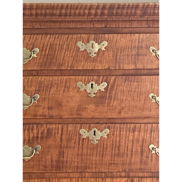 Brown Important American Chippendale Figured Maple Tall Chest-of-Drawers Rhode Island, United States 1760-1780 For Sale - Image 8 of 8