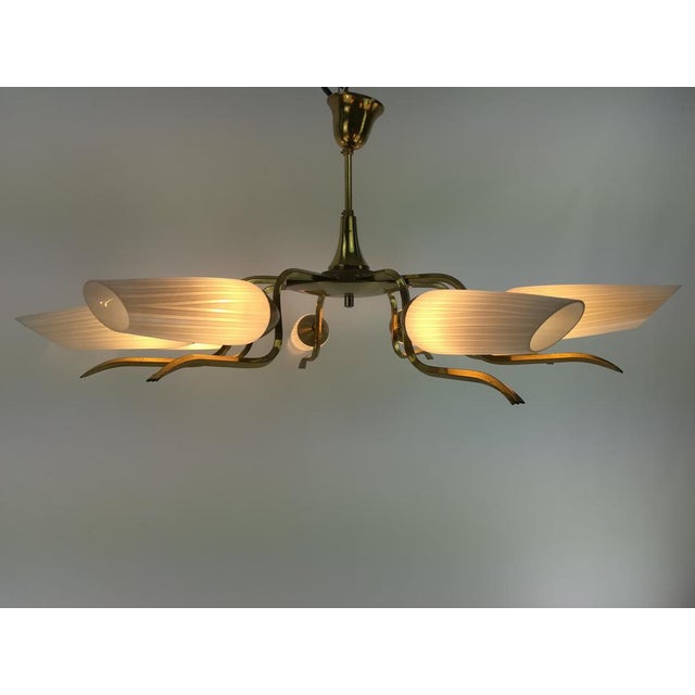 Vintage Brass and Glass Chandelier, 1960s For Sale - Image 9 of 12