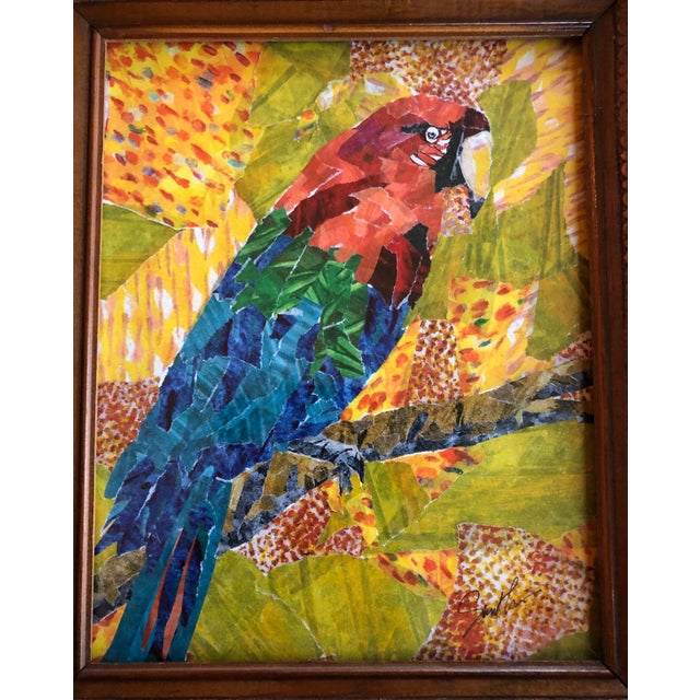 A gentle giant of a bird, this macaw affectionately known as Fat Jack loves to eat. You can feel the evidence when he...