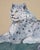 Ira Yeager Ira Yeager 20th C. Snow Leopard Oil Canvas Painting 6 Ft For Sale - Image 4 of 18