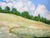 North Hill Sonoma, Lynne French California coast seascape landscape oil painting. The signed original painting measures...