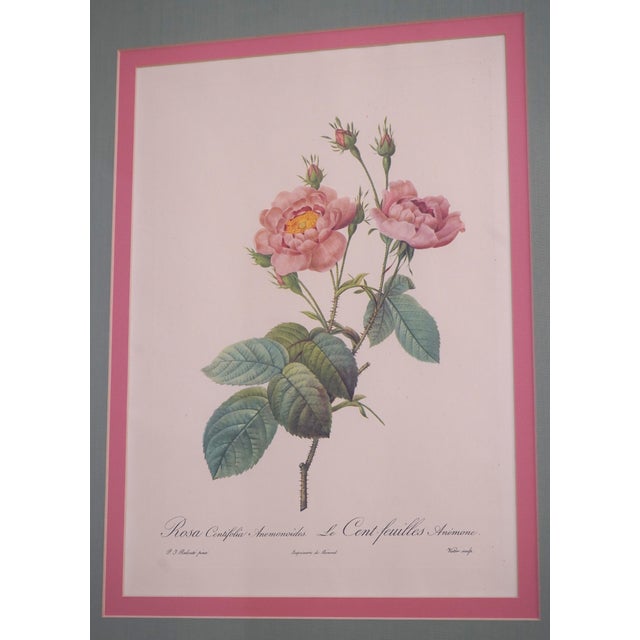 Sculpture Materials 1900s Set of 6 Rose Engraving Prints Artwork For Sale - Image 7 of 18