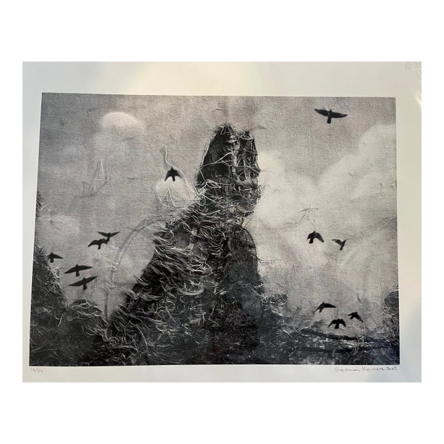 Germán Herrera "Unravel" Limited Edition Signed Pigment Print (18/20), 2002 For Sale
