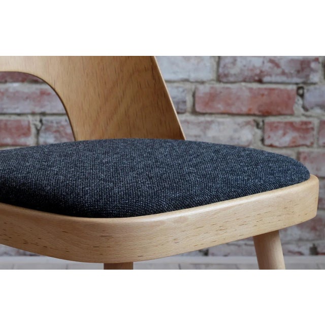 Dining Chairs by Oswald Haerdtl, 1950s, Set of 8 For Sale - Image 18 of 18