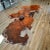 Striking live edge redwood table featuring a highly figured burl slab and sculptural natural base. The organic shape, rich...