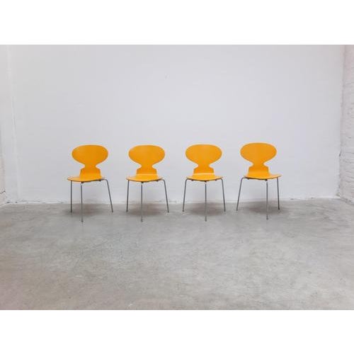 Early Ant Chairs by Arne Jacobsen for Fritz Hansen, 1974, Set of 4 For Sale - Image 18 of 18