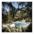 Slim Aarons, Eleuthera Pool Party, Color Photograph, 1960 For Sale