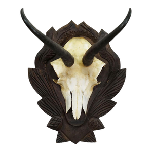 Vintage Chamois Trophy on Carved Plaque, Germany 1950s